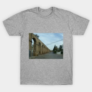 Roman Aqueduct T-Shirt